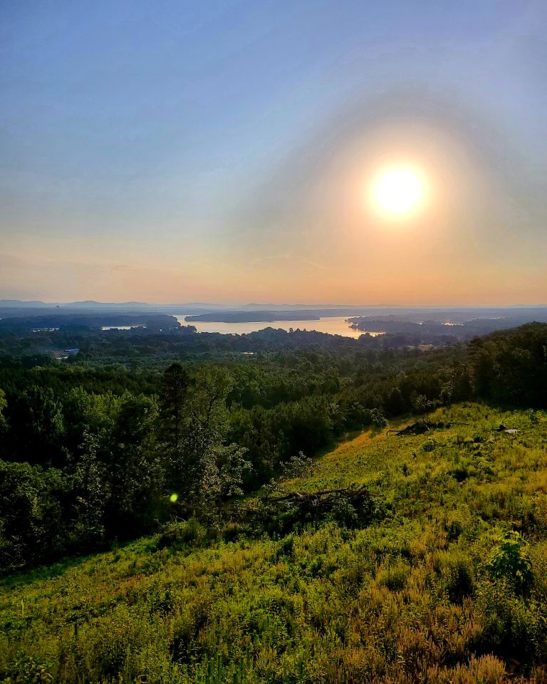 FIRST CLASS MORNINGS