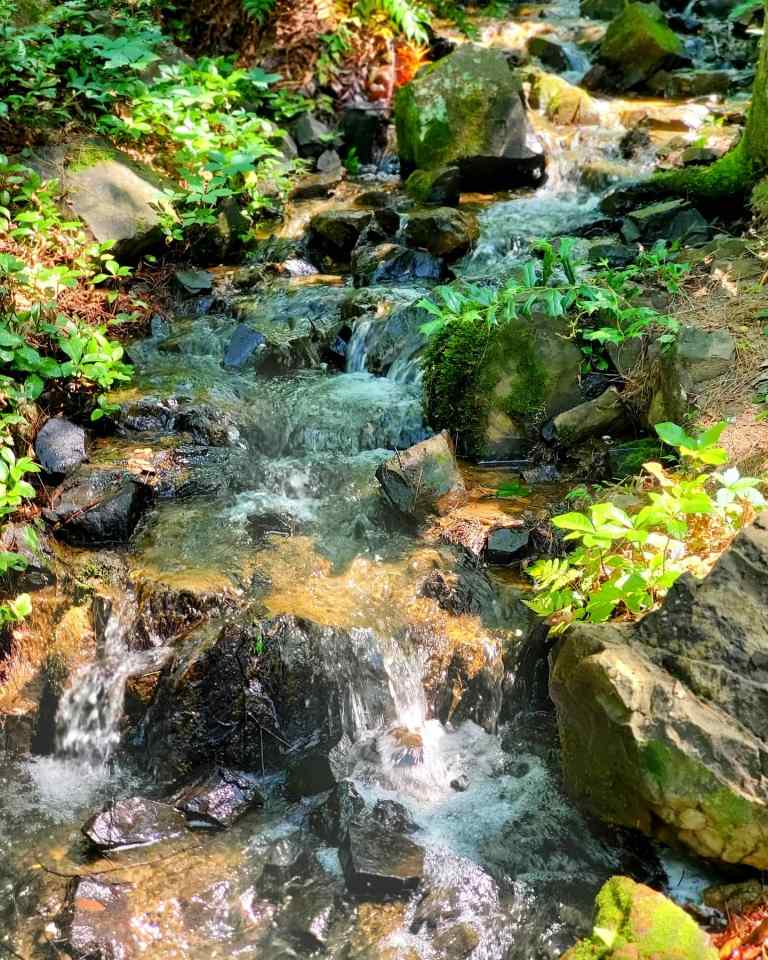 HOT SPRINGS HOPPIN’